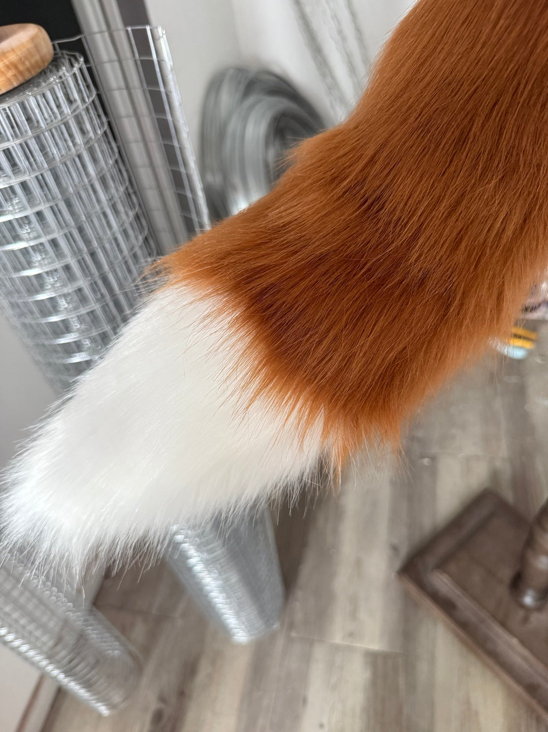 Arknights Greyy Ears Tail Cosplay Buy