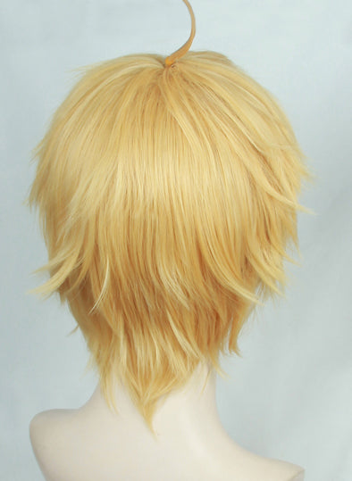 Arthur Pendragon Saber Wig Cosplay