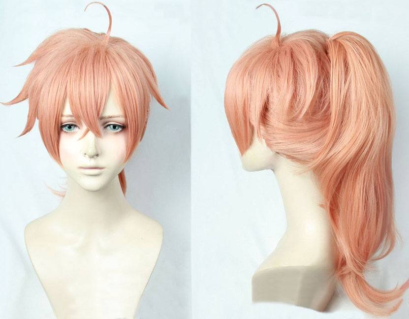 Dr. Roman Cosplay Wig
