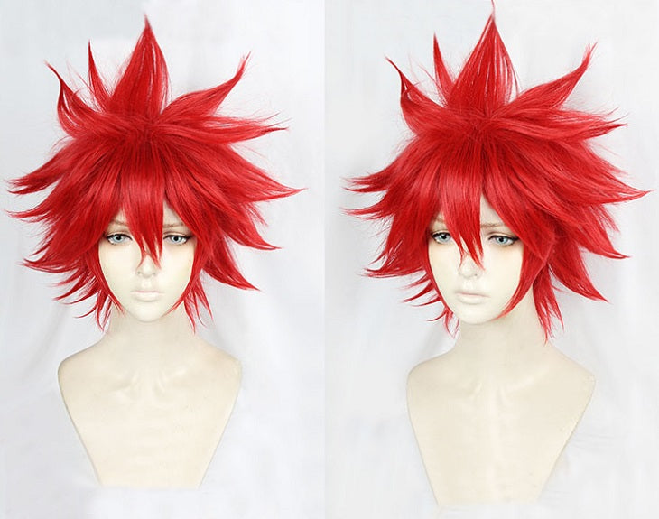 Karna Burning Garment of Three Gods Cosplay Wig