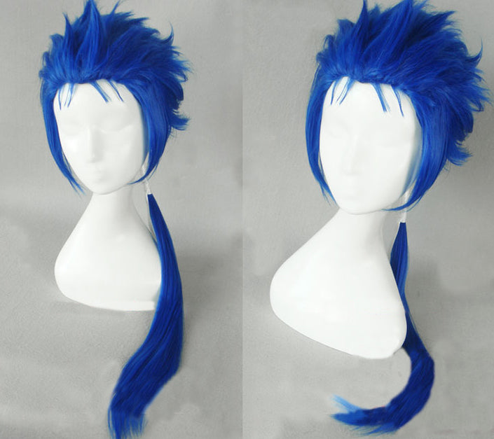 Lancer Cu Chulainn Cosplay Wig