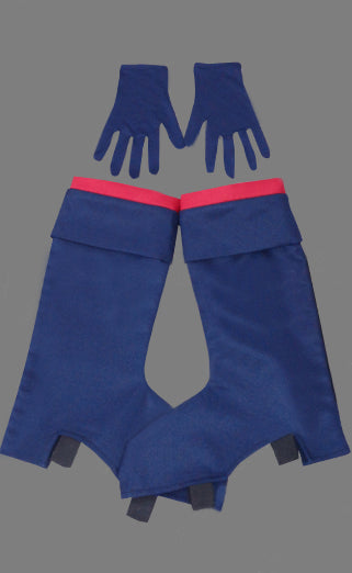 Winter Schnee Cosplay Costume