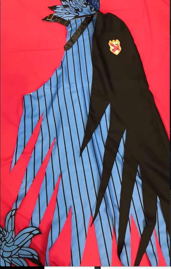 Archer James Moriarty Cosplay Cape