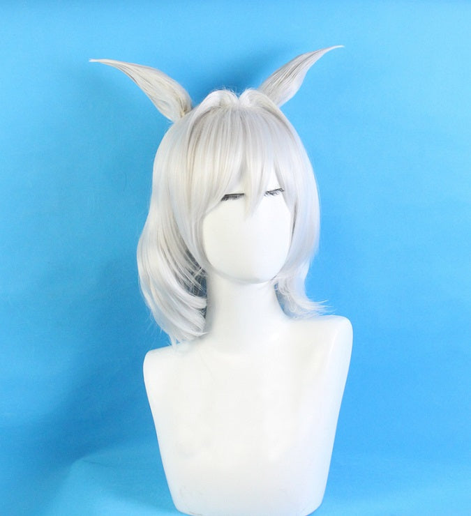 Caenis Lancer Cosplay Wig
