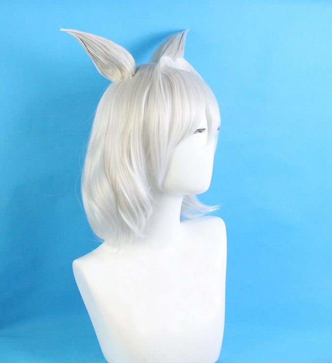 Caenis Lancer Cosplay Wig