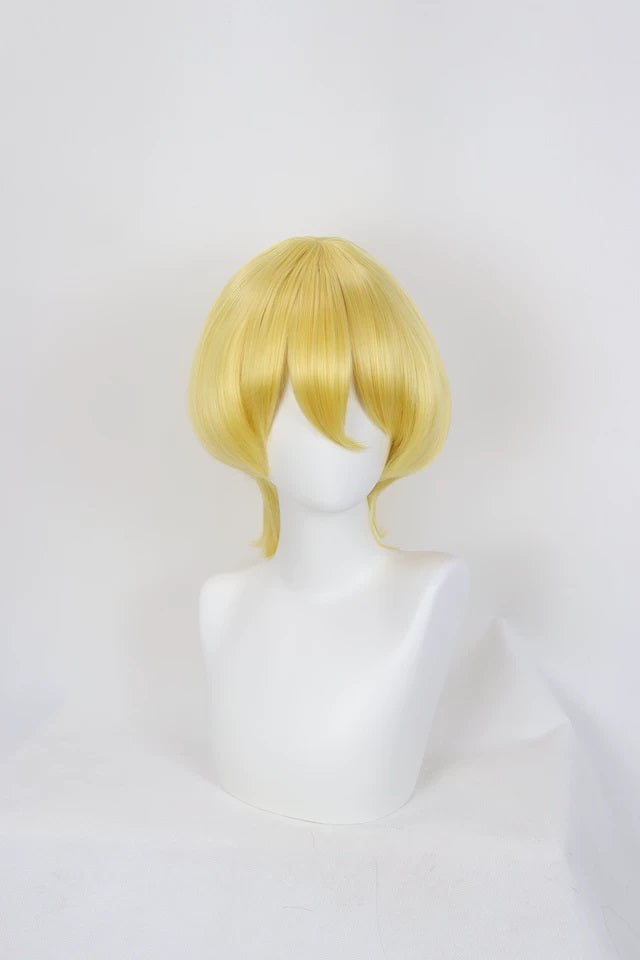 Don Quixote Wig Cosplay Buy