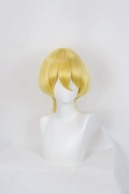 Don Quixote Wig Cosplay Buy