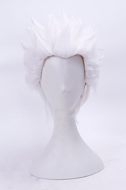 Emiya Archer Cosplay Wig