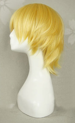 Gilgamesh Caster Cosplay Wig