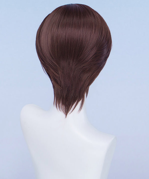 Hero of the South Wig Cosplay Buy