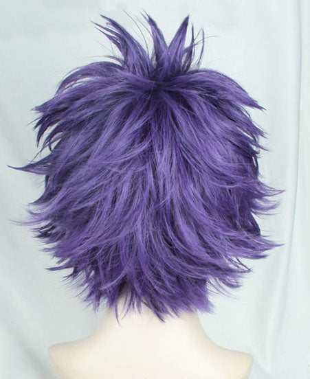 Hitoshi Shinsou Cosplay Wig