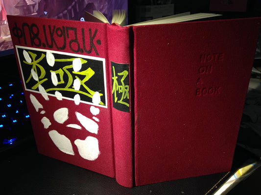 Chrollo Book Bandit's Secret Cosplay