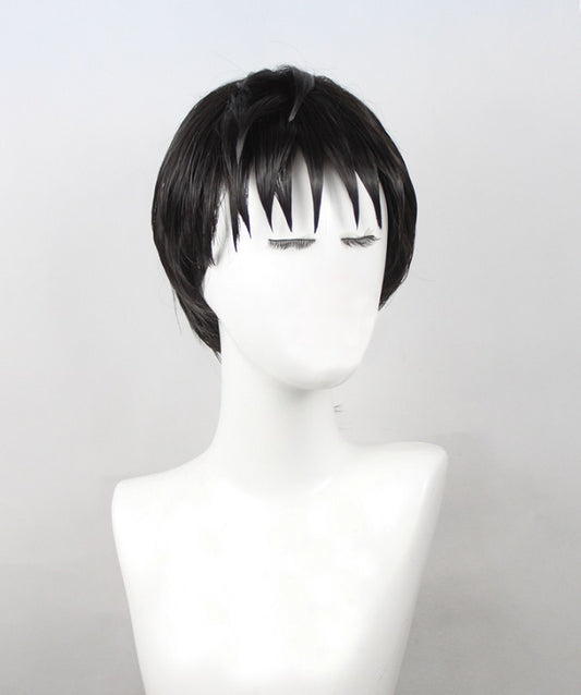 Miroku Cosplay Wig