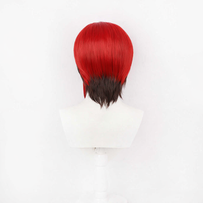 Kyouka Nijiku Wig Cosplay Buy