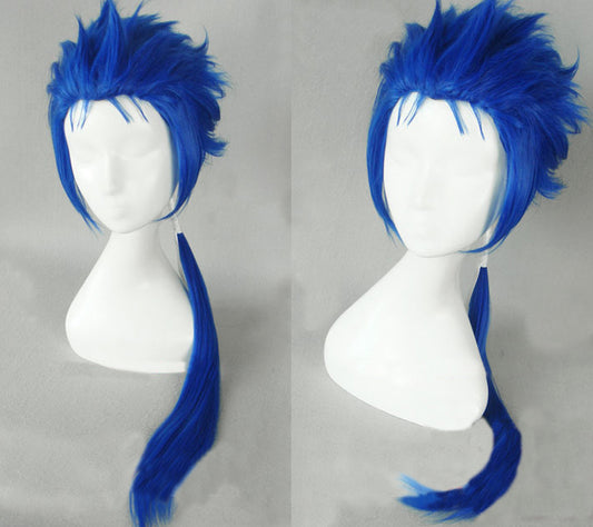 Lancer Cu Chulainn Cosplay Wig
