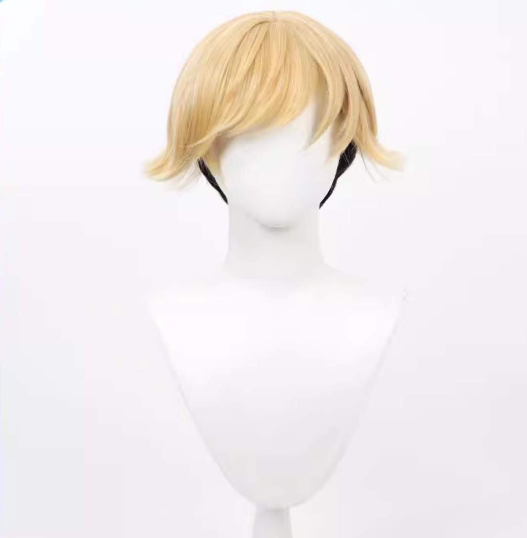 Land Wig Cosplay Buy