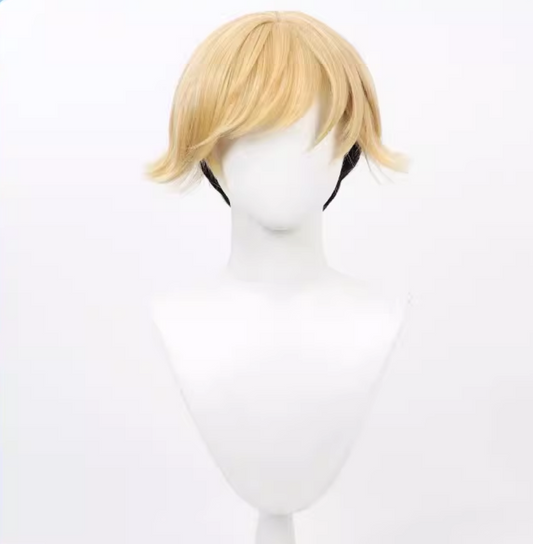 Land Wig Cosplay Buy