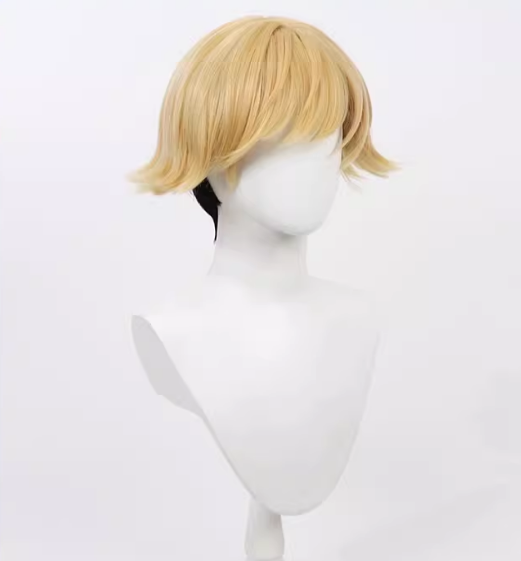 Land Wig Cosplay Buy