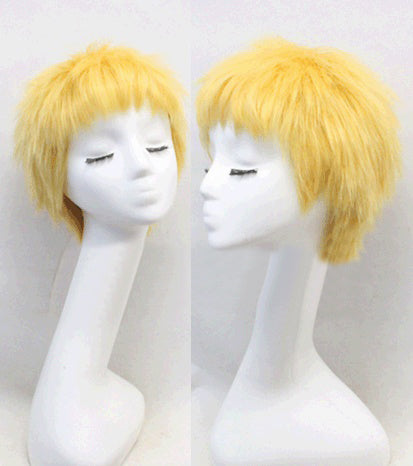 Doflamingo Cosplay Wig