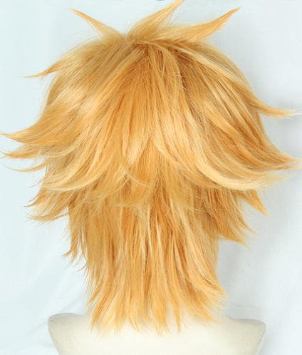 Robin Hood Archer Wig Cosplay