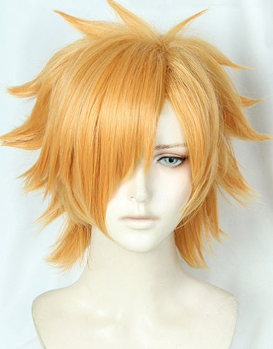 Robin Hood Archer Wig Cosplay