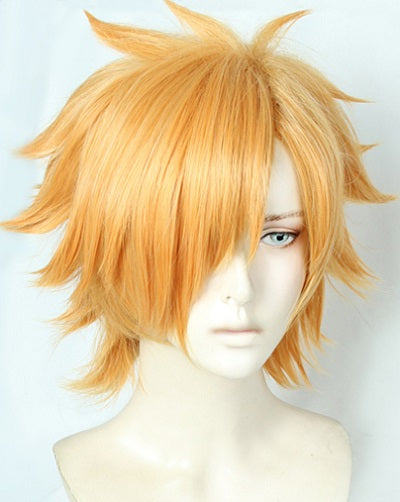 Robin Hood Archer Wig Cosplay