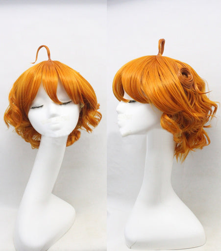 Roche Frain Master Cosplay Wig