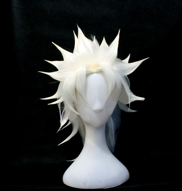 Ruler Amakusa Shirou Tokisada FGO Cosplay Wig 