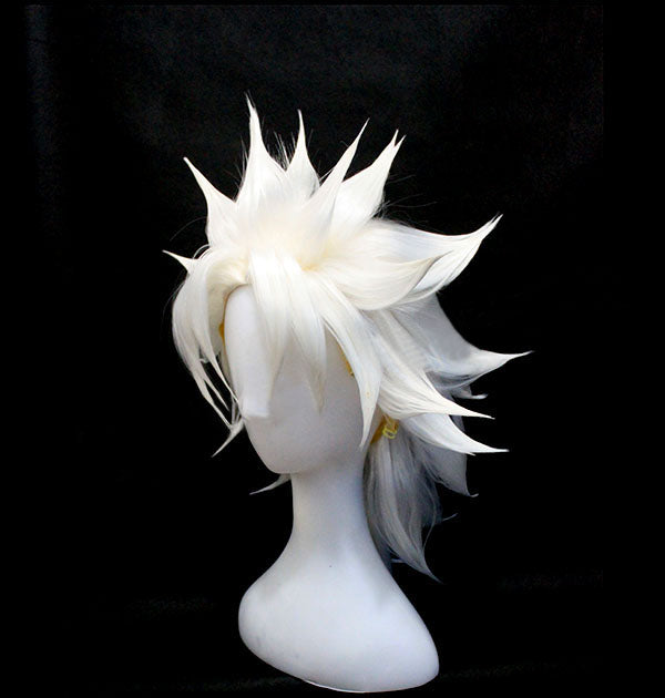 Ruler Amakusa Shirou Tokisada FGO Cosplay Wig 