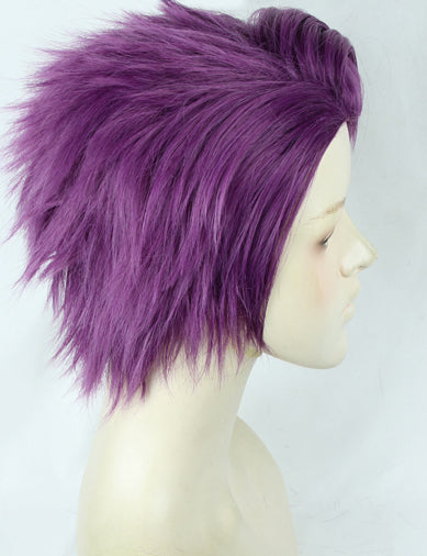 Saber Lancelot Cosplay Wig