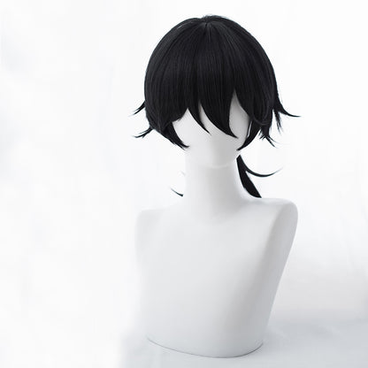 Sakamoto Ryouma Rider Cosplay Wig