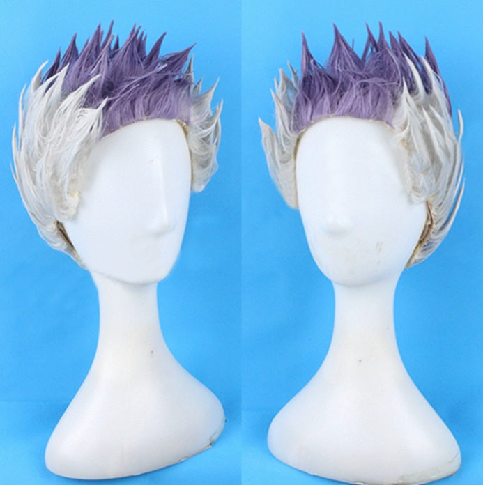 Sigurd Saber Wig Cosplay