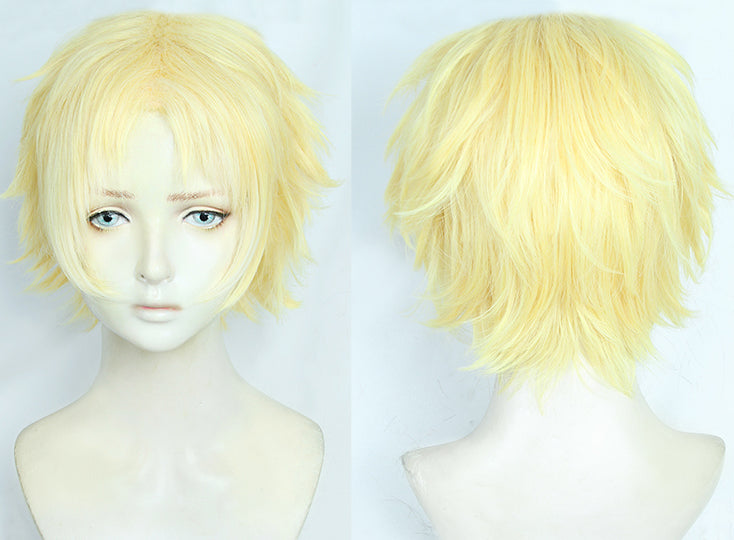 Voyager The Little Prince Wig Cosplay